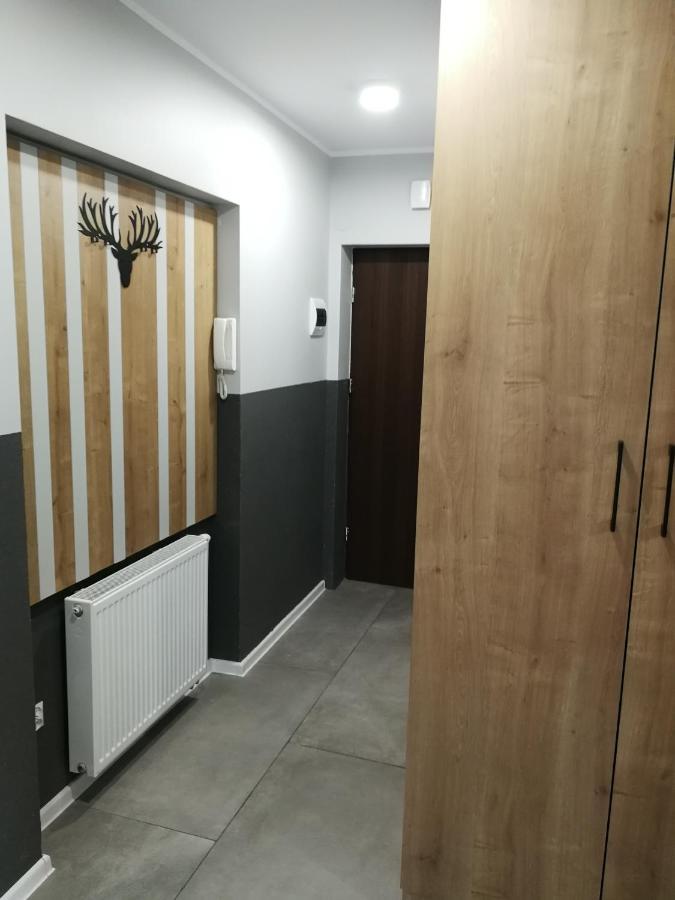 Apartament Stok o krok Stronie Śląskie Zewnętrze zdjęcie